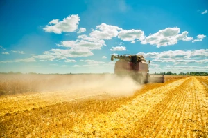 Požar u žetvi: Postavite iskrolovce, nosite S aparat, obezbedite traktor sa plugom