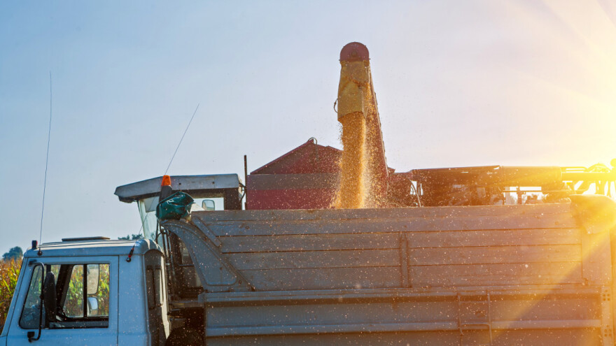 Višemilionska prevara u trgovini "organskih" soje i kukuruza