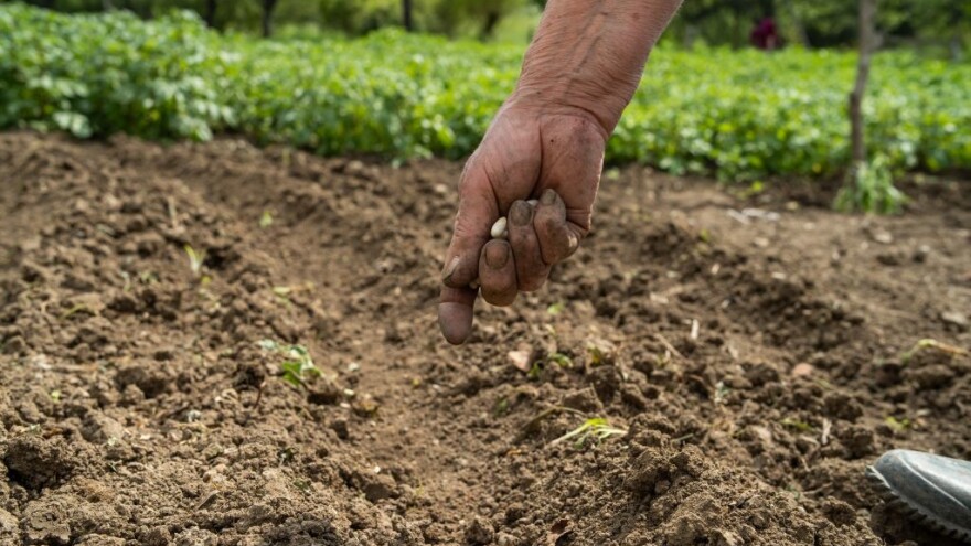 Kako oprati prljavštinu i smrad s ruku?