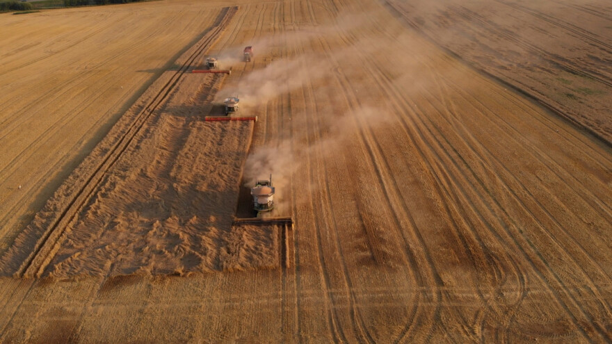U Ukrajini počela žetva, čeka ih logistički kolaps?