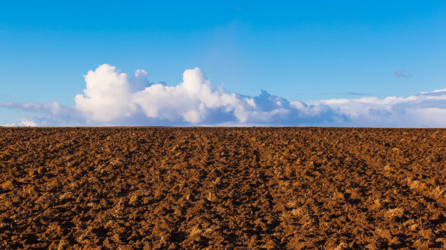 10 fascinantnih činjenica o zemljištu