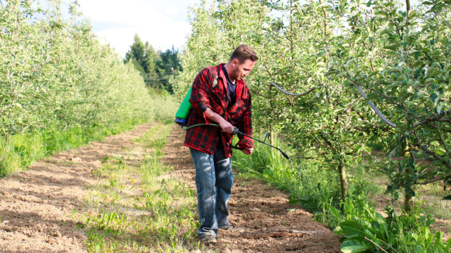 Pelargonska kiselina - herbicid koji nema toksične ostatke