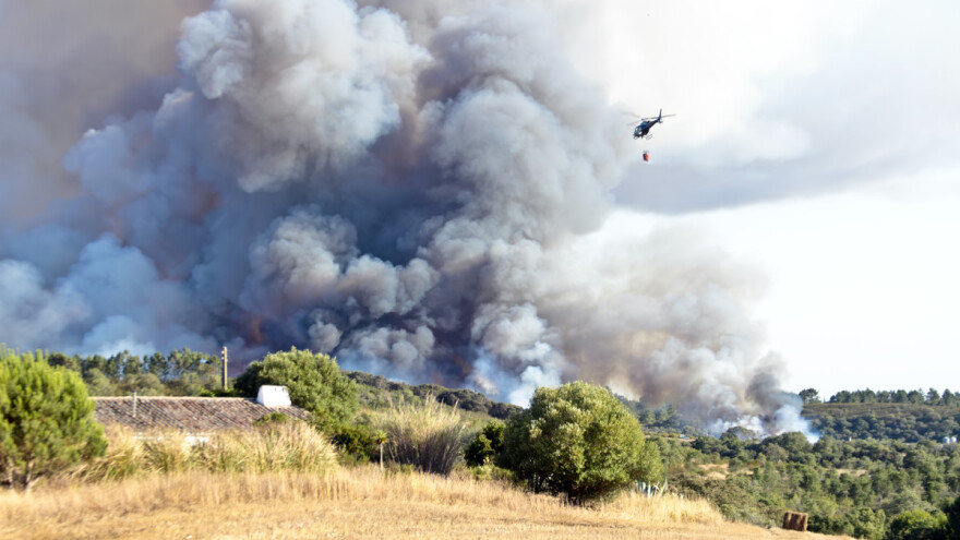 Za šumske požare nisu krivi toplotni talasi? Erdogan za odgovorne traži smrtnu kaznu