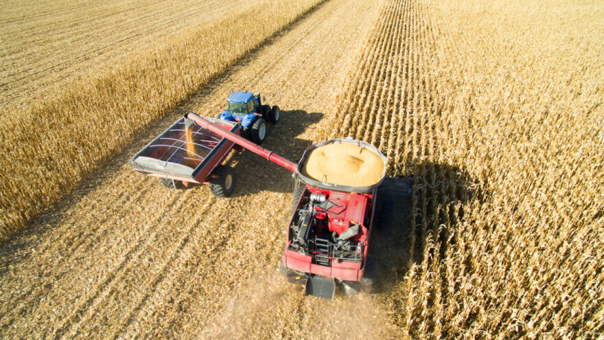 TOP 10 svjetskih proizvođača kukuruza