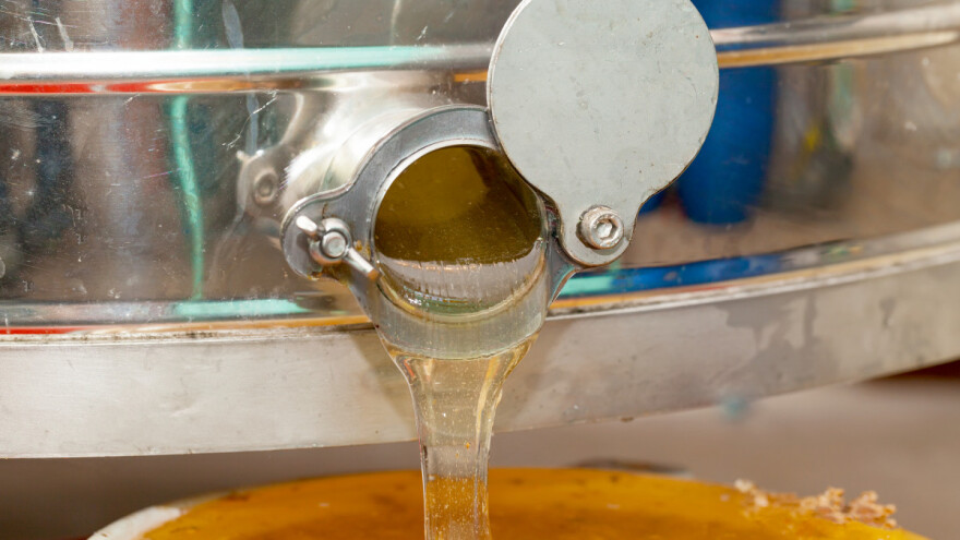 EU 2021. uvezla meda u vrijednosti 405,9 milijuna eura - tko su top 5 zemalja uvoznica?