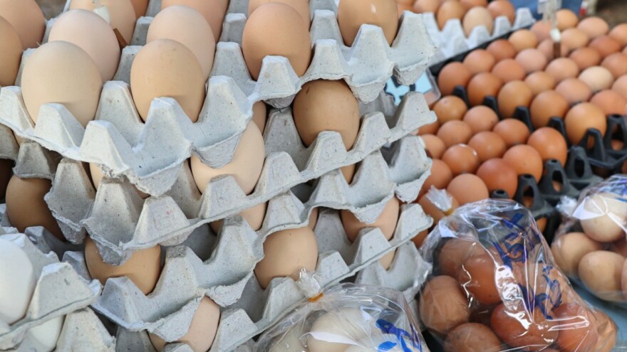 Cena jaja znatno skočila u EU - gde su najskuplja?