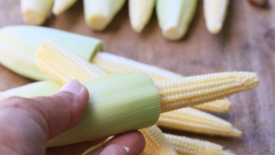 Da li je mini kukuruz posebna sorta? Kada se bere i kako priprema?