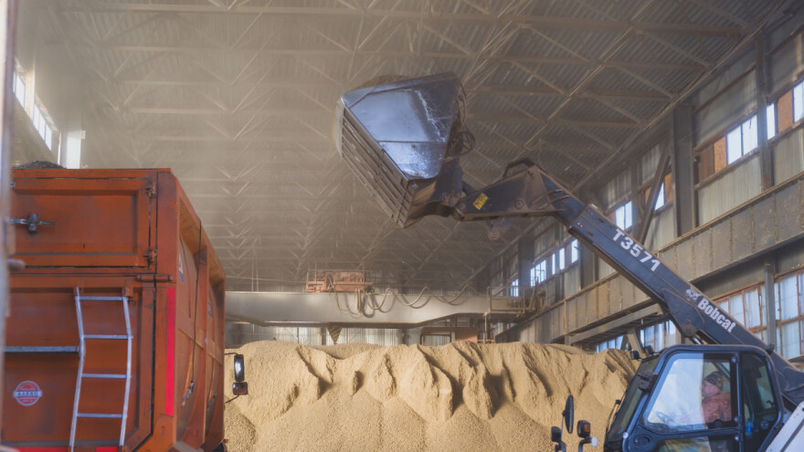 Protesti urodili plodom? Ukrajina obustavlja izvoz četiri glavna useva u Poljsku