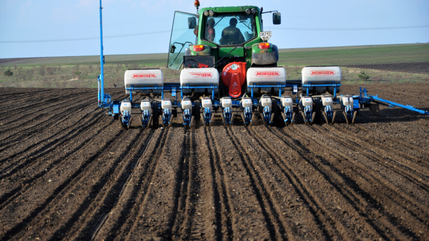 Šećerna repa - najveće potrebe za vodom od početka sklapanja redova