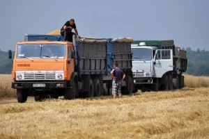 Povećaće se izvoz žitarica iz Ukrajine - SAD i Britanija tvrde da Rusija dezinformiše javnost
