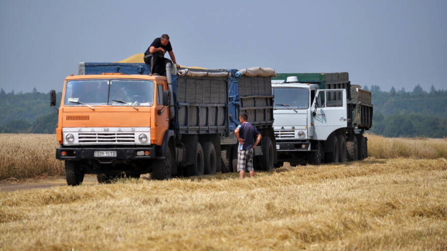Povećat će se izvoz žitarica iz Ukrajine - SAD i Britanija tvrde da Rusija dezinformira javnost
