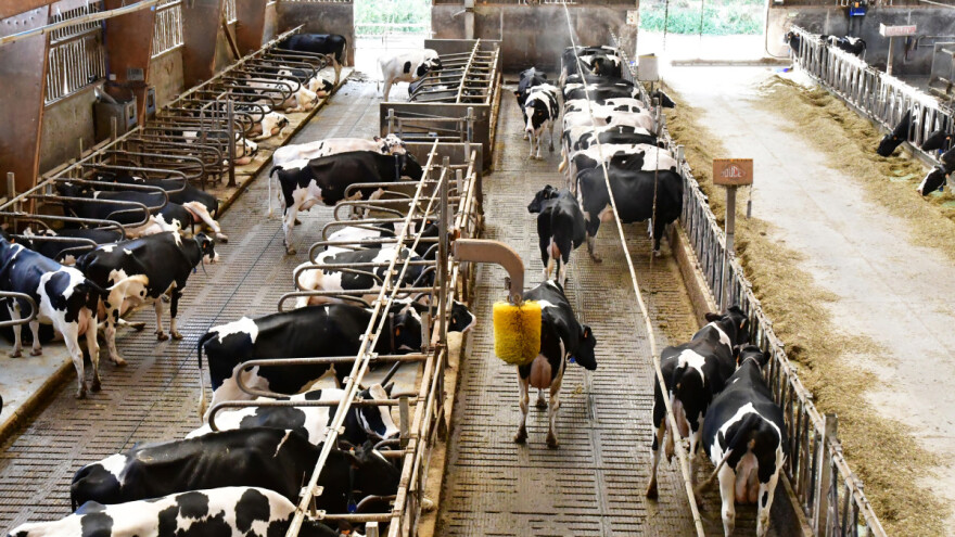 Stočarstvo ipak isključeno iz plana EU za smanjenje industrijskih emisija?