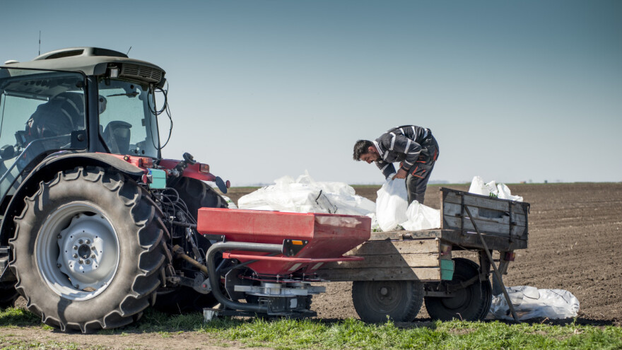Pravilnom gnojidbom pšenice mogu se izbjeći nepotrebni gubici