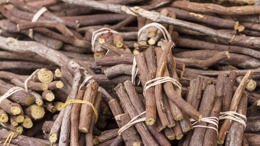 Sladić se koristi kao prirodni zaslađivač i cijenjen je u narodnoj medicini