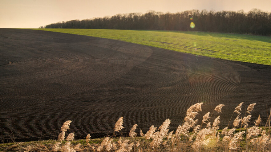 "Živo" zemljište je ključ dobre plodnosti