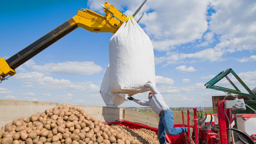 Moguće je udvostručiti proizvodnju krompira za 10 godina?