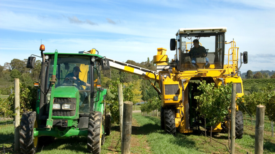 Marijan Bubola: Tko god da je probao strojnu berbu grožđa, ne vraća se ručnoj