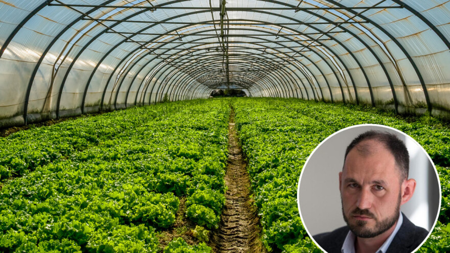 Budanec: Trebaju nam veća ulaganja u plasteničku proizvodnju