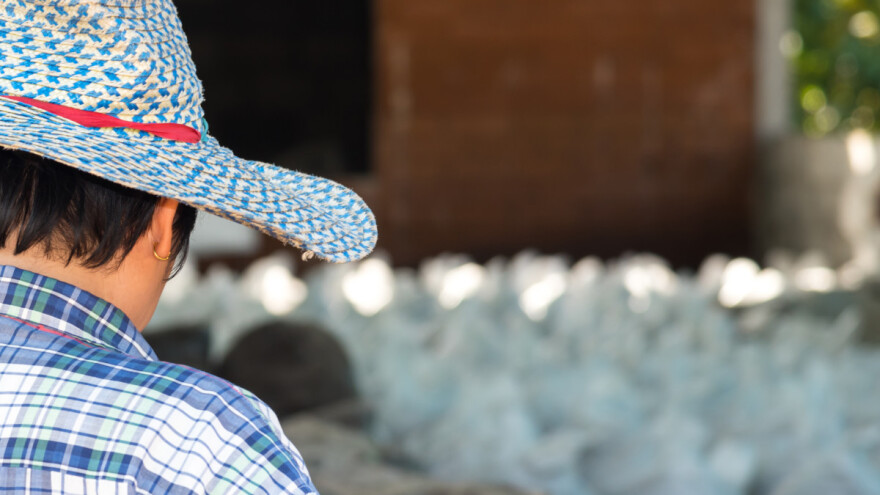 Na meti lopova gnojivo australskih poljoprivrednika