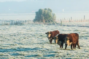 Dolaze temperature za 10°C niže od prosečnih oktobarskih