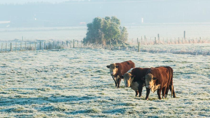 Dolaze temperature za 10°C niže od prosečnih oktobarskih