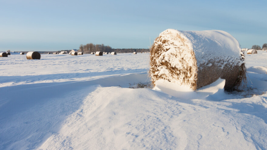 Hoće li ove zime biti snijega? Objavljena SWE dugoročna prognoza