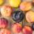 Jedanaest zanimljivih i slatkih hibrida voća
