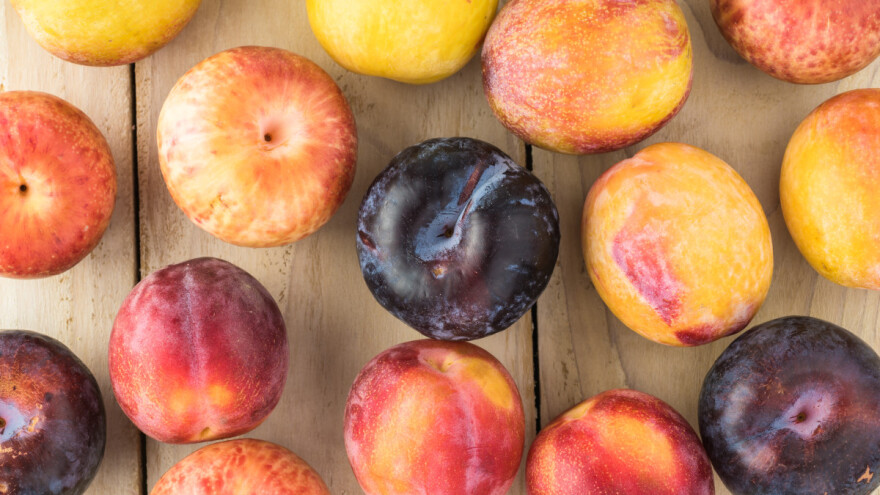 Jedanaest zanimljivih i slatkih hibrida voća