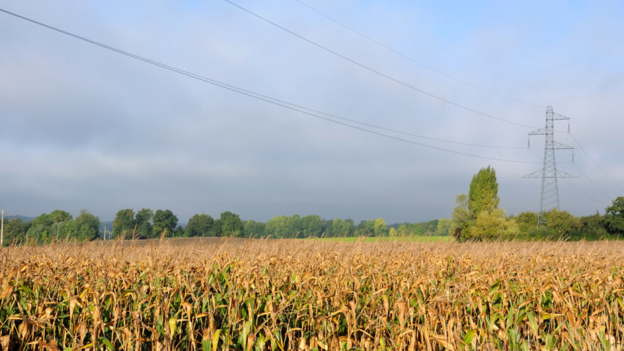 Hitne mjere: EU planira zamrznuti cijene plina i električne energije