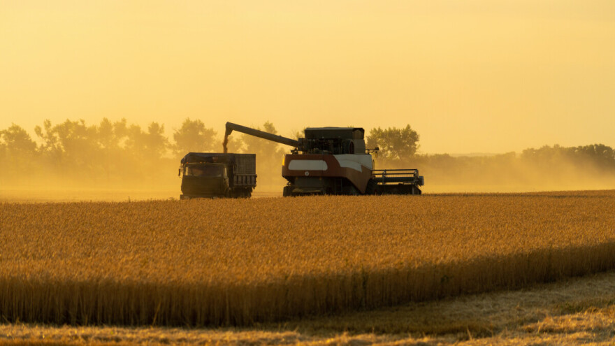 Rusija izvozi pšenicu rekordnom brzinom, Ukrajina dosegla predratne izvozne brojke