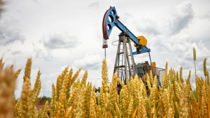 Globalne cijene sirovina i hrane rastu najbržim tempom od 1995. godine