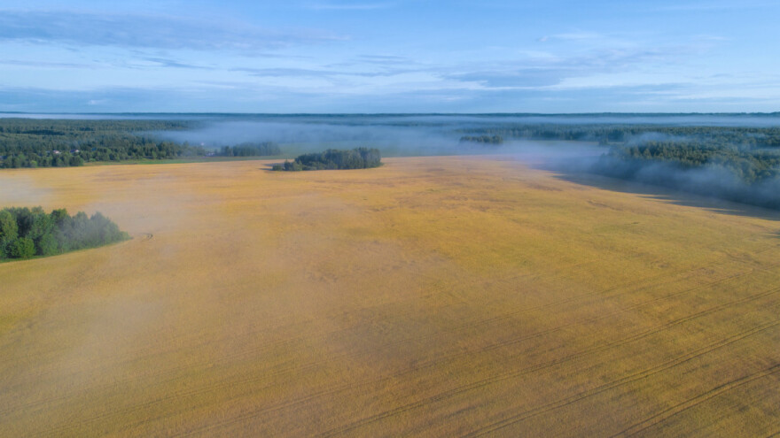 Raste uzgoj žitarica u Rusiji - pomažu im klimatske promjene