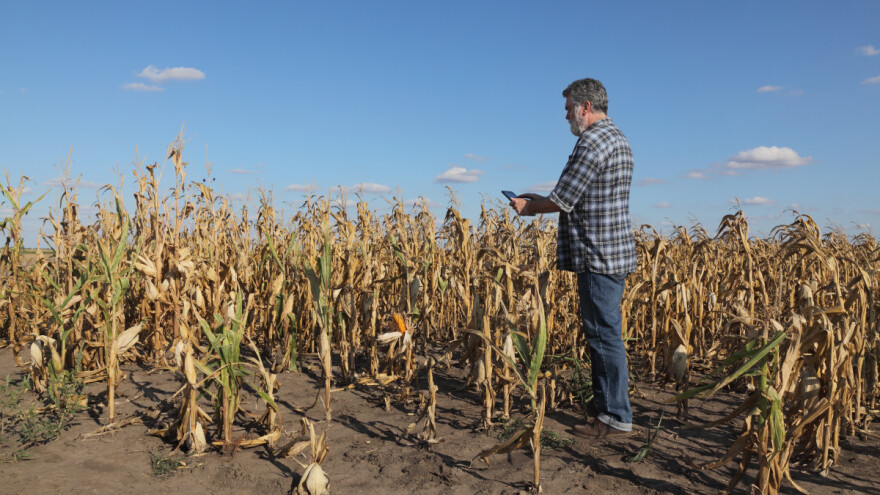 Zašto i kome je u interesu dugotrajnu sušu neproglasiti elementarnom nepogodom?