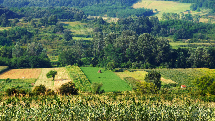 Šta je dogovoreno na sastanku ministara poljoprivrede Zapadnog Balkana?
