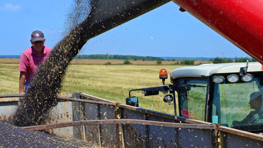 Cena uljane repice pala na najniži nivo u godinu dana
