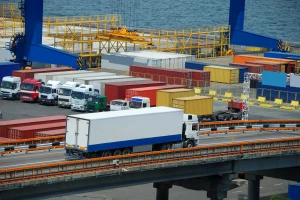 Nova pravila za uvoz hrane u Kinu zabrinula evropske proizvođače