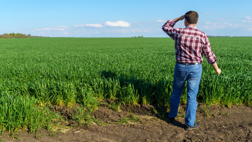 Kakve veze ima regenerativna poljoprivreda i Dan planete Zemlje? Evo 10 činjenica