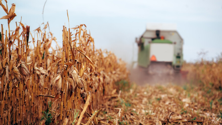 Kako poljoprivreda EU podnosi rast cena sirovina?