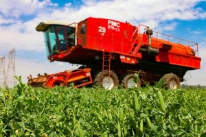 Evropa 2031: Manje površina pod žitaricama, a više pod proteinskim usjevima