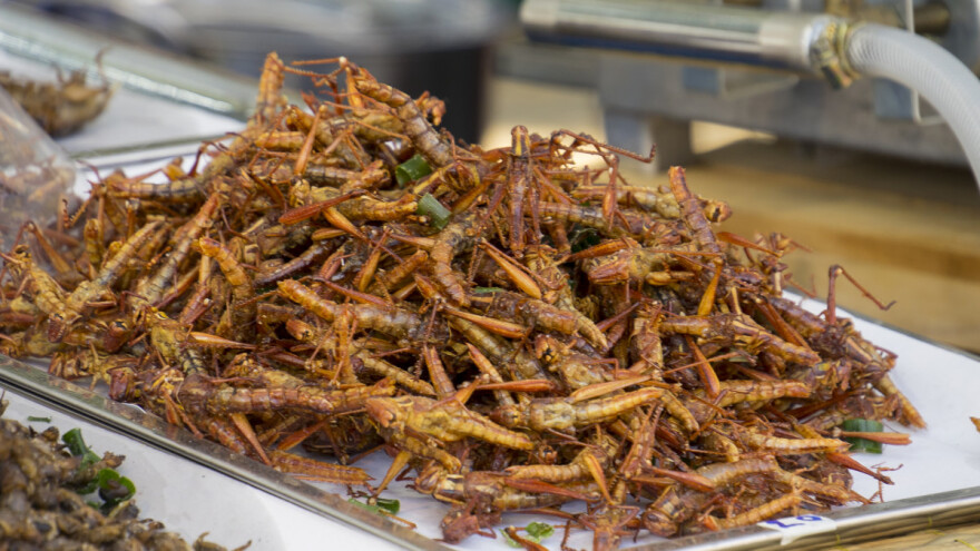 EK proglasila skakavce sigurnom hranom za ljude