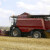 Putin najavio istorijski rekord u žetvi pšenice - povećaće i izvoz?