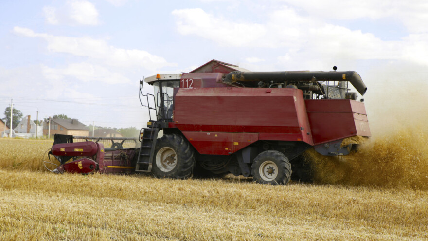 Putin najavio historijski rekord u žetvi pšenice - povećat će i izvoz?