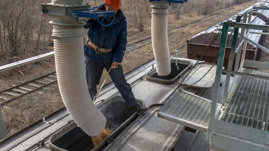 Ukrajina ukinula zabranu izvoza kukuruza i suncokretovog ulja - ratarima dali upute o sjetvi
