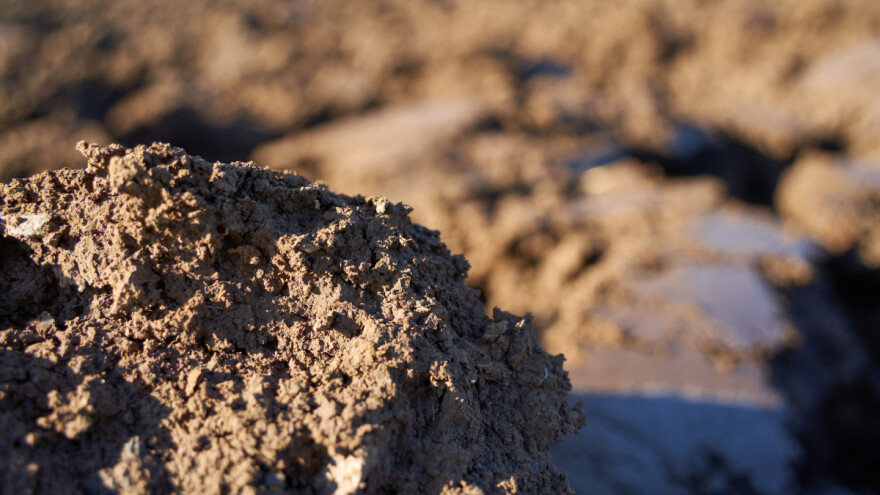 5 razloga zašto čuvati zemljište jer, 2050. samo što nije