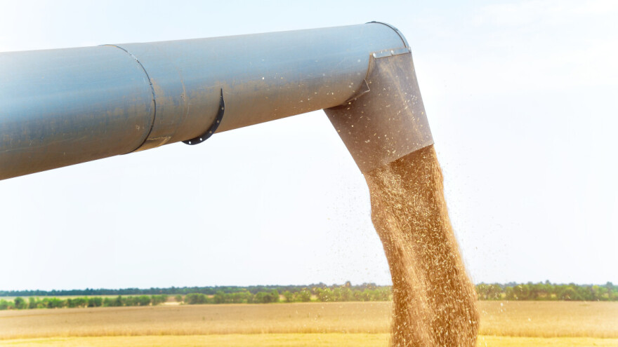 Što se događa s cijenama na tržištu žitarica i uljarica?