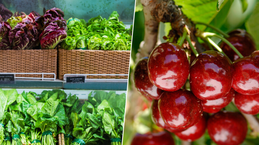 Uređivanje genoma nije isto što i GMO: Uskoro ćemo jesti trešnje bez koštice, ukusniji spanać?