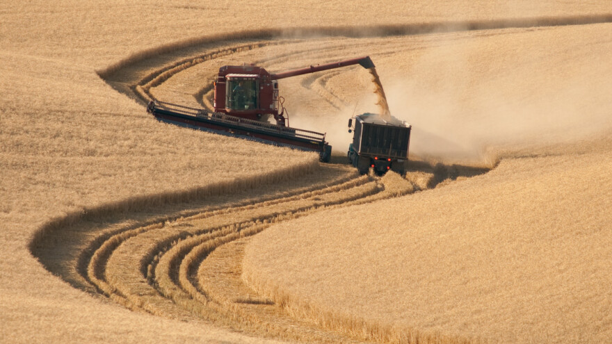 Cijena pšenice raste, a američki ratari je ne mogu prodati?