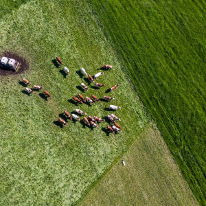 Kojih je 12 mogućnosti primjene satelita u poljoprivredi?