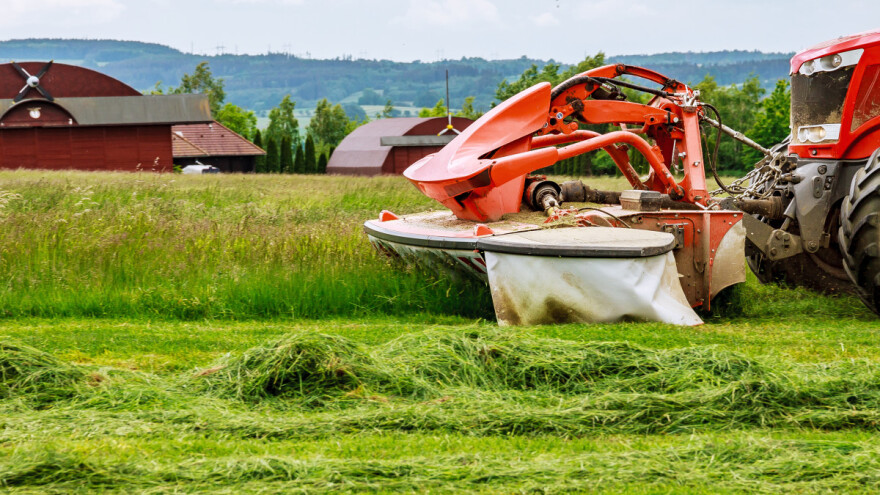 Proteini iz trave su dobra zamena za soju i meso