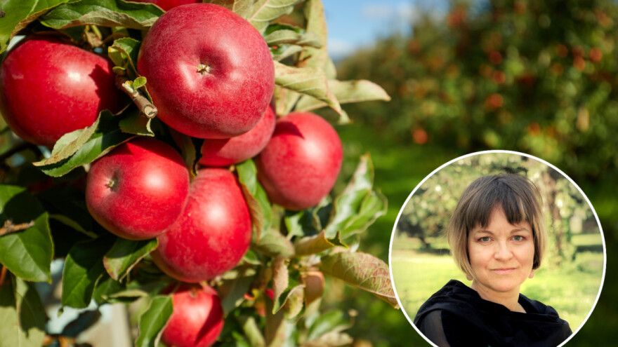 Nataša Bokan: Pojam sigurne hrane ima dva značenja